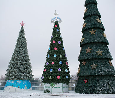Каркасные ёлки в Вологде